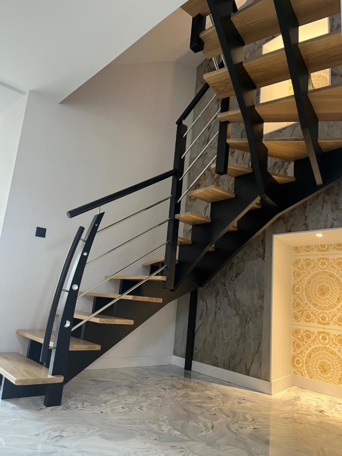 Domaine Pierre Monnaie Villa Verzy Eksteriør billede