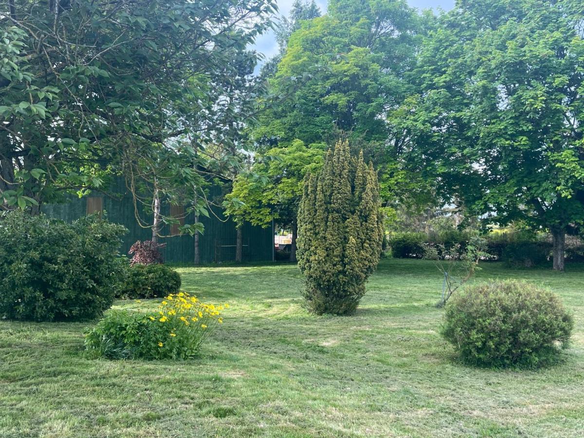 Domaine Pierre Monnaie Villa Verzy Eksteriør billede